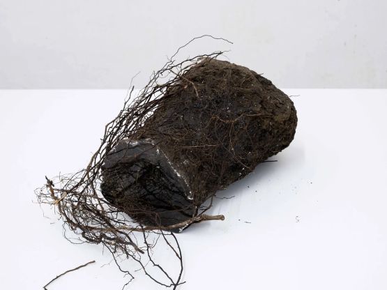 Hole 19 by David Nelson contemporary artwork Sculpture