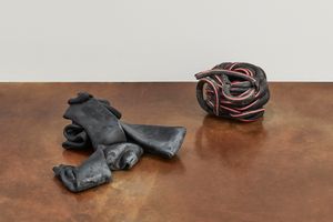Nina Canell