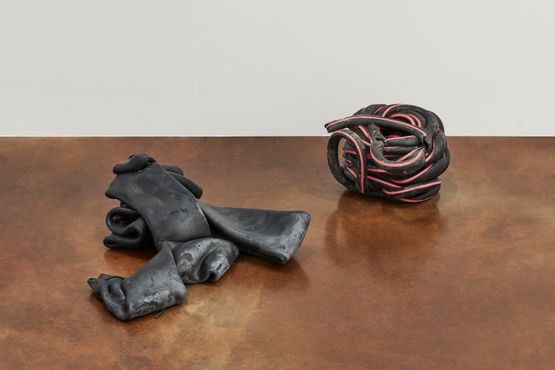 Shedding Sheaths K No. 5 by Nina Canell contemporary artwork Sculpture