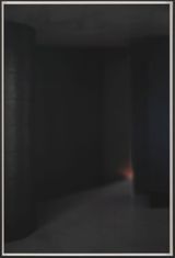 o.T. 356 by Eva Schlegel contemporary artwork print