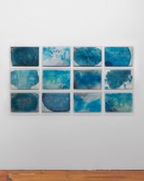 Ice has a memory and the colour is blue by Janet Laurence contemporary artwork painting