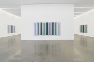 Robert Irwin