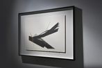 Toko Shinoda contemporary artist