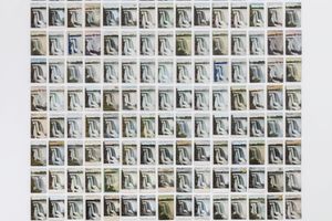 Zoe Leonard