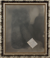 Der Tiefenglanz Eel by Der Tiefenglanz - Gavin Hipkins and Karl Fritsch contemporary artwork photography
