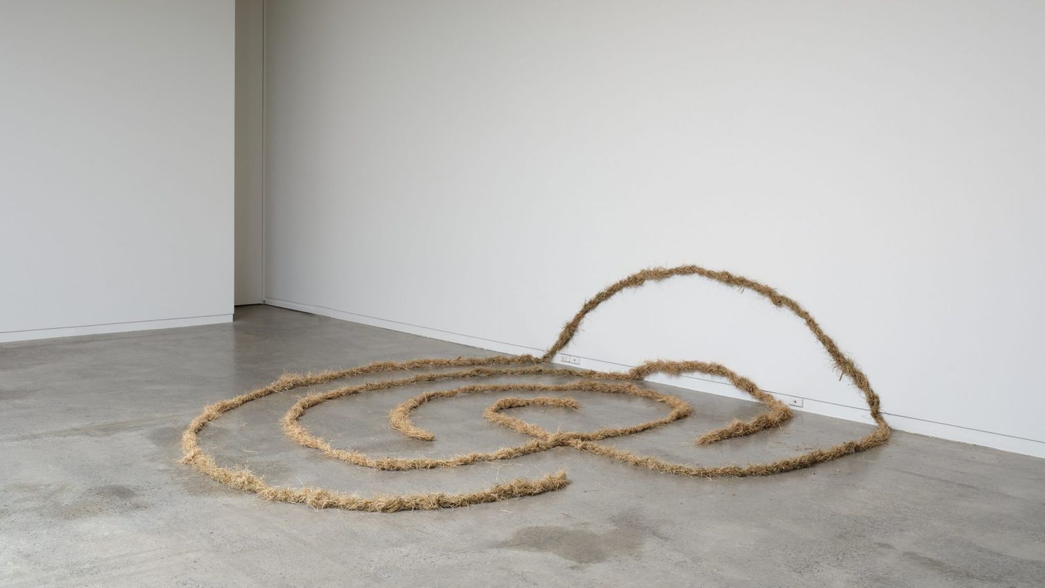 Matt Arbuckle, Wendelien Bakker