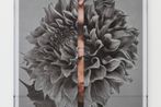 Kathryn Andrews contemporary artist