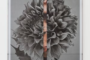 Kathryn Andrews