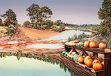 Out Back by Kevin Chin contemporary artwork painting