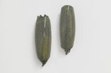 Nelfo Greysparkle Twins I by Gereon Krebber contemporary artwork sculpture