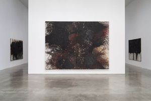 Hermann Nitsch