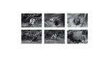 RiceTreeBurial Burial of the Time Capsule by Agnes Denes contemporary artwork photography