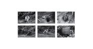 RiceTreeBurial Burial of the Time Capsule by Agnes Denes contemporary artwork Photography