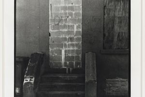 Zoe Leonard