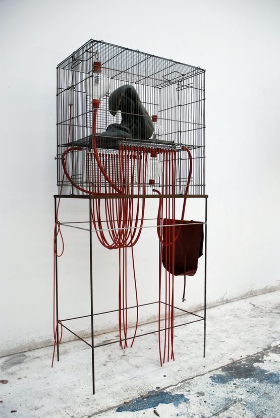 Some thing for example by Julia Morison contemporary artwork Sculpture