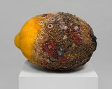 Bad Lemon Armadillo by Kathleen Ryan contemporary artwork sculpture