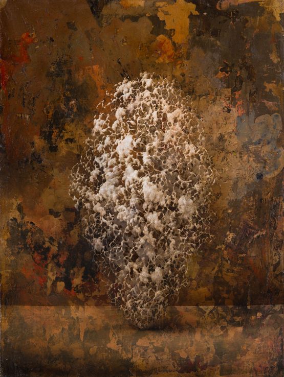 Candido by Enrico Minguzzi contemporary artwork Painting