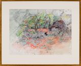Ngurra - Dwelling Great Desert Skink - Watikinpirri by John Wolseley contemporary artwork works on paper