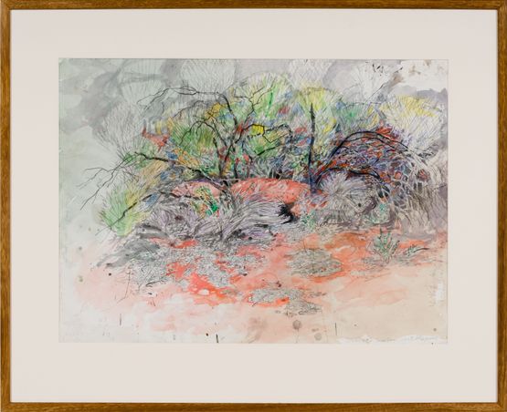 Ngurra - Dwelling Great Desert Skink - Watikinpirri by John Wolseley contemporary artwork Works on Paper