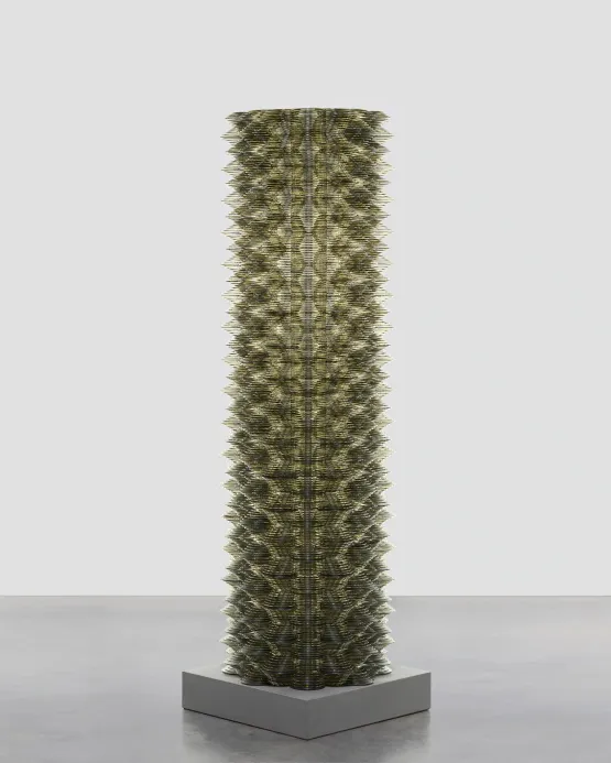 Stratagem XII by Tara Donovan contemporary artwork Sculpture