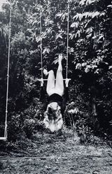 Croix Valmer 1976 by Helmut Newton contemporary artwork photography print