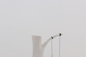 Andy Fitz