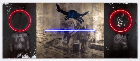 Beginning of the shape Morphogenesis by Brook Andrew contemporary artwork Mixed Media