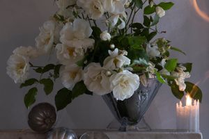 Fiona Pardington