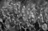 The celebration of Holi at Banke Bihari Temple. Vrindavan P64 India by Palani Mohan contemporary artwork photography print