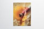 IMAGINE 2402 by mentalKLINIK contemporary artwork Painting