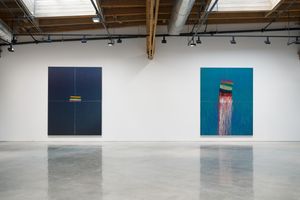 Pat Steir