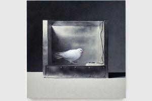 Mat Collishaw