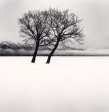 Dancing Trees Kussharo Lake Hokkaido Japan by Michael Kenna contemporary artwork photography