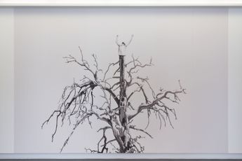 Fabien Merelle contemporary artist