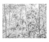 Untitled 6 from the series Paysages Sri Lanka by Gilbert Hage contemporary artwork print