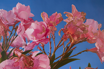 Mustafa Hulusi contemporary artist
