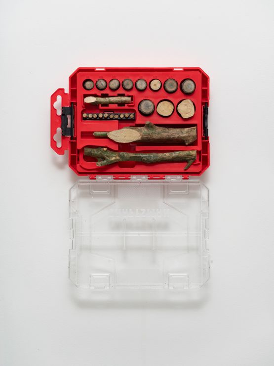 Twig Index Jogo de Gravetos by Josh Callaghan contemporary artwork Mixed Media