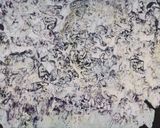 Foresight No.8  No.8 by Jiang Pengyi contemporary artwork mixed media
