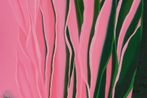 Lorraine Jialin Ren contemporary artist