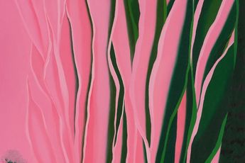 Lorraine Jialin Ren contemporary artist