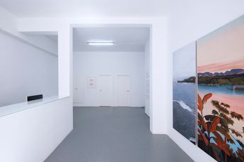 Contemporary art exhibition Group Exhibition Ver versus ver at Sabrina Amrani Sallaberry 52 Madrid Spain