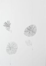 Drawings from the series Gegen-Bonitierung by Judith Raum contemporary artwork drawing works on paper