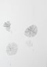 Drawings from the series Gegen-Bonitierung by Judith Raum contemporary artwork Works on Paper