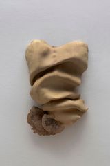Studies for potential metamorphoses XXV by Yasam Sasmazer contemporary artwork mixed media sculpture