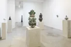 Heidi Lau contemporary artist