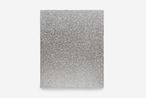 untitled 2025 new york times january 28 2025 by Rirkrit Tiravanija contemporary artwork Mixed Media