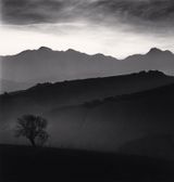 Tree and Gran Sasso Mountain Castilenti Abruzzo Italy by Michael Kenna contemporary artwork photography
