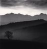 Tree and Gran Sasso Mountain Castilenti Abruzzo Italy by Michael Kenna contemporary artwork Photography