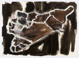Cage Syria map variations by Fiona Hall contemporary artwork works on paper