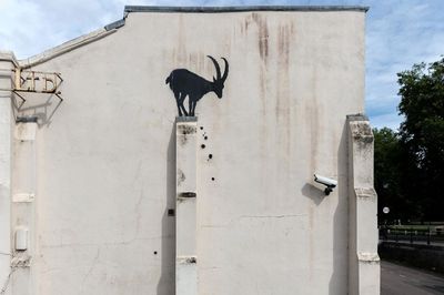 No One Knows What Banksys Goat Means